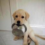 Chuck Li - @chucklira - Instagram