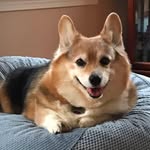 Chuck Lowe - @cel_untamed - Instagram