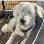 Chuck Lowery - @chuck_lowery - Instagram