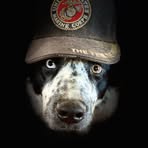 Chuck Master - Facebook