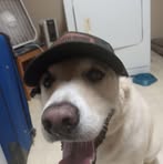 Chuck Masters - Facebook