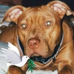 Chuck Mathis - Facebook