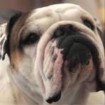 Chuck Mathis - Facebook