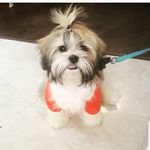 Charlie McGowan - @charliechuckmcgowan - Instagram