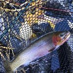 Chuck McKinney - @mckinney5565 - Instagram