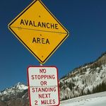 Chuck Meadows - @chuck.meadows.54 - Instagram