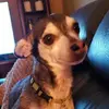 chuckmichel155 - @chuckmichel155 - TikTok
