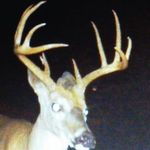 Chuck Mitchell - @chuck220712 - Instagram
