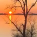 Chuck Mitchell - Facebook