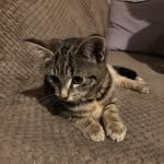 Chuck Mitchell Jr. - @jr.chuckmitchell - Instagram