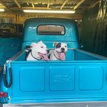 Chuck Moscato - @moscatochuck - Instagram