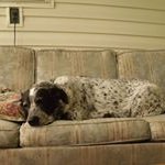 Chuck Moyer - @blueyedcharlie2 - Instagram