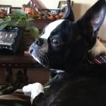 Chuck Neely - @neely116 - Instagram