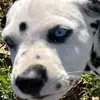chuckobrien0 - @chuckobrien0 - TikTok