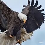 Chuck Catalanotto - @chuckcatalanotto - Instagram