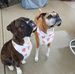 Chuck Palmer - Facebook