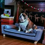Chuck Payne - @chuckpayne6529 - Instagram
