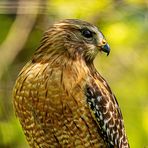 Chuck Peacock - Facebook