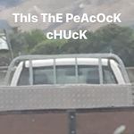peacock chuck - @the_church_of_peacock_chuck - Instagram
