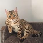 Chuck Powers - @or01012020 - Instagram