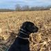 Chuck Powers - Facebook