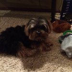 Chuck - @chuckpurdy - Instagram