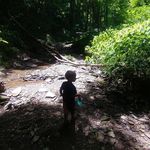 Chuck Rapp - @prisondonkey_ - Instagram