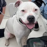 Chuck Reiss - @chuck_reiss - Instagram