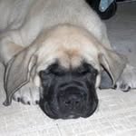 Chuck Reissis - @chuckreissis - Instagram