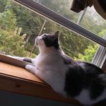 Chuck Chuck Rice - @chuck.chuck.rice - Instagram