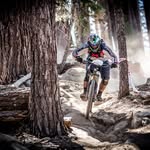 C Dibble - @chuck_riding_bikes - Instagram