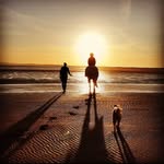 Cuckoo Riding Centre - @cuckooridingcentre - Instagram