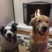 Chuck Rodden - Facebook