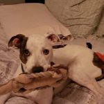 Chuck Rodgers - @rotozip_master - Instagram