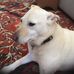 Chuck Russo - Facebook