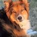 Chuck Russo - Facebook