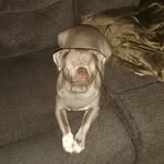 Chuck Russo - @lilrock1216 - Instagram
