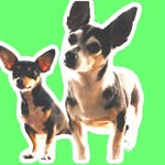 Chuck & Ruth - @chuck_n_ruth - Instagram