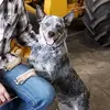 Chuck Schafer - @chuck.schafer - TikTok