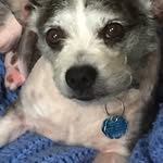 chuck schaffer - @chucks5801 - Instagram