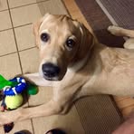 Chuck Schaub - Facebook