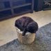 Chuck Schell - Facebook