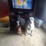 Chuck Schilling - Facebook