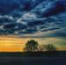 Charlie Schoonover - Facebook