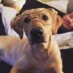 Charlie Schrader - @the.chuck.wagon - Instagram
