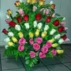chuckshrader429 - @chuckshrader429 - TikTok