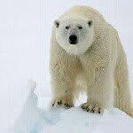 Charles Schreiber - @chuckpolargram - Instagram