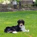 Chuck Schroeder - Facebook