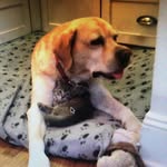 Chuck Schroeder - @chucktr - Instagram