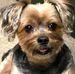Chuck Schroeder - Facebook